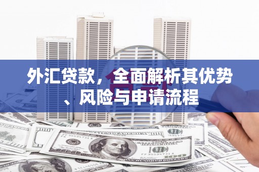 东阳外汇贷款，全面解析其优势、风险与申请流程