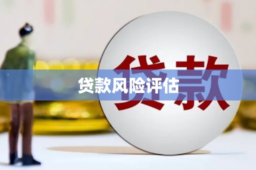 东阳贷款风险评估