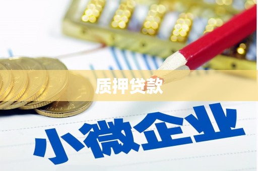 东阳质押贷款
