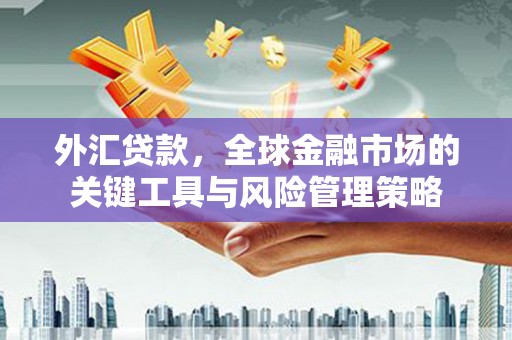 东阳外汇贷款，全球金融市场的关键工具与风险管理策略