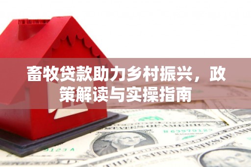 东阳畜牧贷款助力乡村振兴，政策解读与实操指南