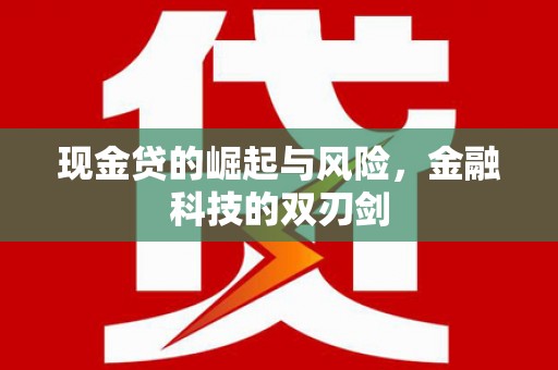 东阳现金贷的崛起与风险，金融科技的双刃剑