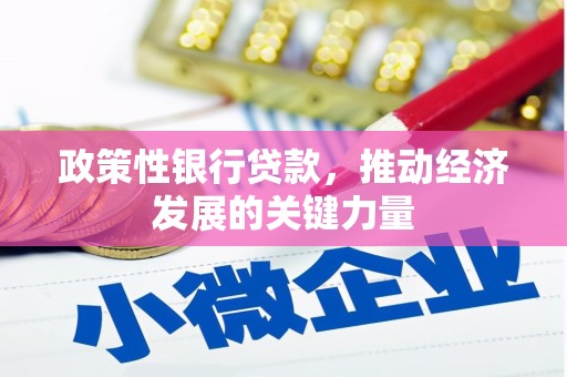东阳政策性银行贷款，推动经济发展的关键力量