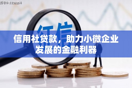 东阳信用社贷款，助力小微企业发展的金融利器