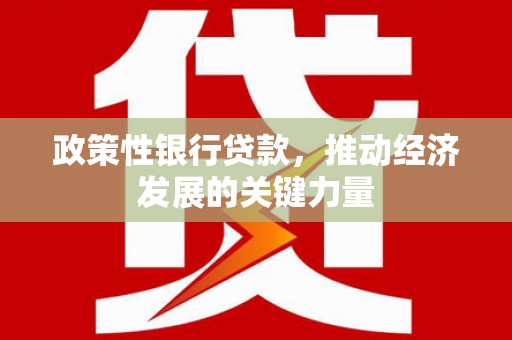 东阳政策性银行贷款，推动经济发展的关键力量