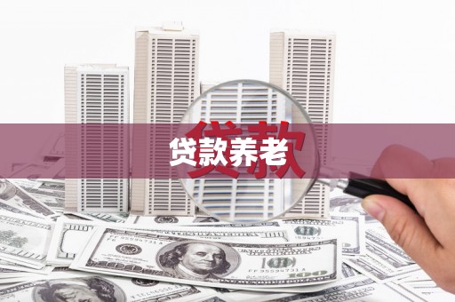 东阳贷款养老