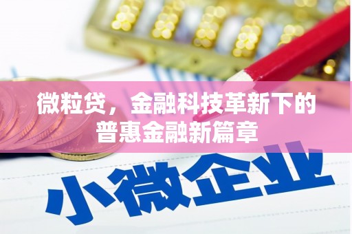 东阳微粒贷，金融科技革新下的普惠金融新篇章