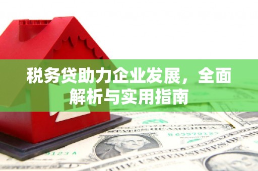 东阳税务贷助力企业发展，全面解析与实用指南