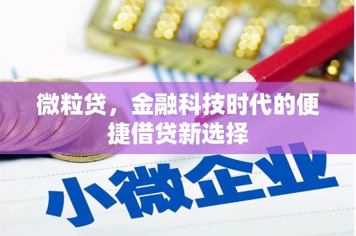 东阳微粒贷，金融科技时代的便捷借贷新选择