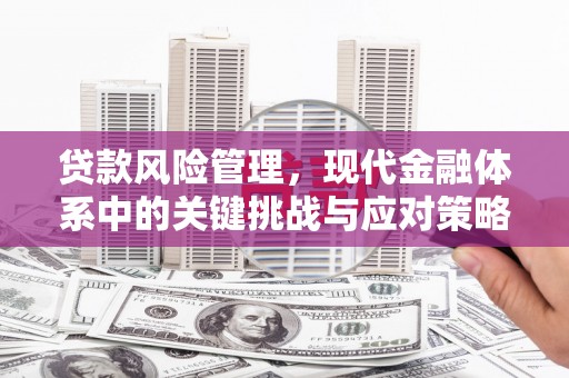 东阳贷款风险管理，现代金融体系中的关键挑战与应对策略