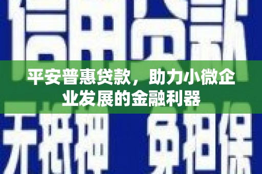 东阳平安普惠贷款，助力小微企业发展的金融利器