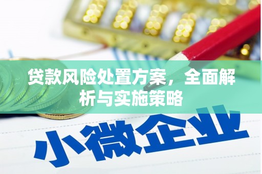 东阳贷款风险处置方案，全面解析与实施策略
