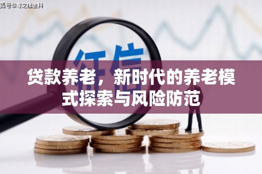 东阳贷款养老，新时代的养老模式探索与风险防范